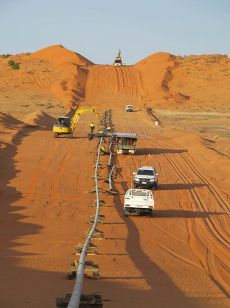 vanessa1-gas-well-230x308